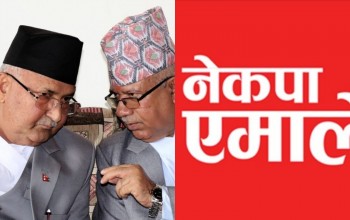 ओली र नेपालबीच विवाद टुंगाउने विषयमा सहमति, नेपाल पक्षका सांसदले राजीनामा नदिने 